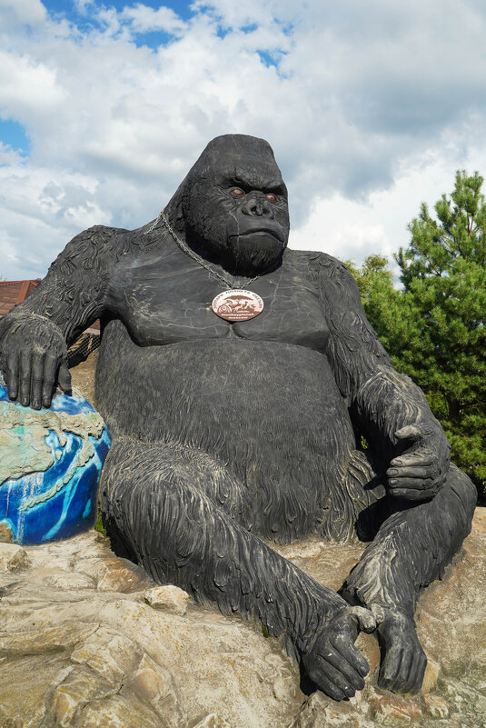 ЗАХВАТЧИК - Сергей Янович Микк