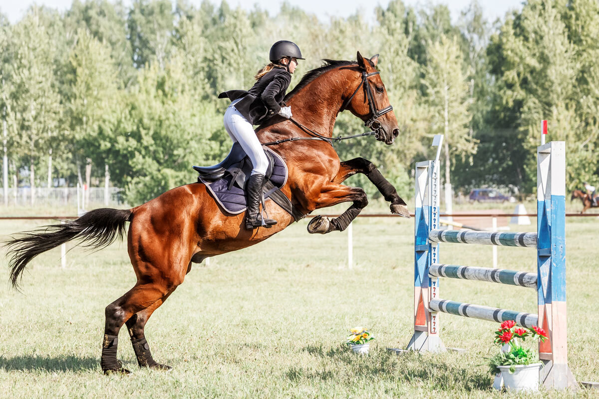 Крнкур - SanSan 