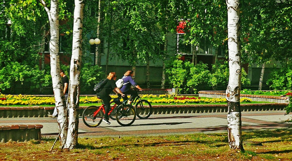 Нефтеюганск...По бульвару- на велосипедах!? - Владимир Нефтеюганск...По бульвару- на велосипедах!? - Владимир