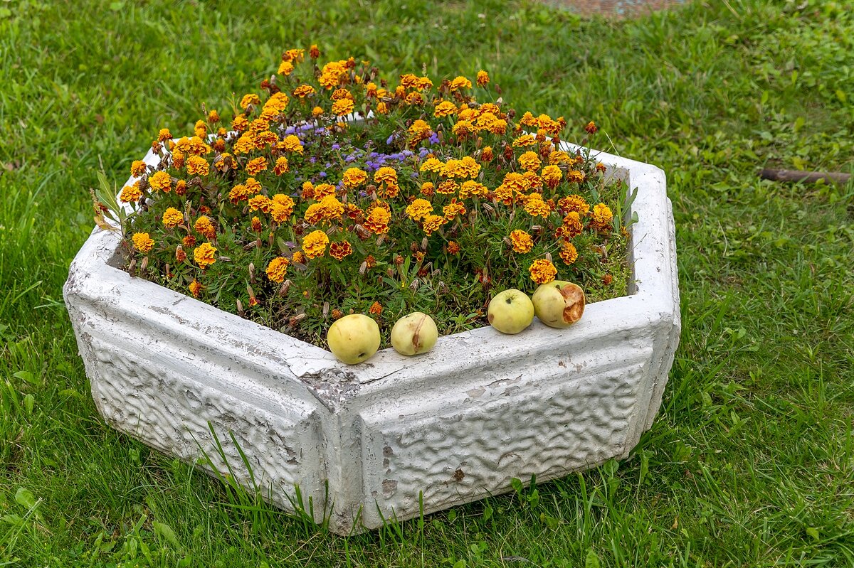 Не понял, а что это ) - Валерий Иванович