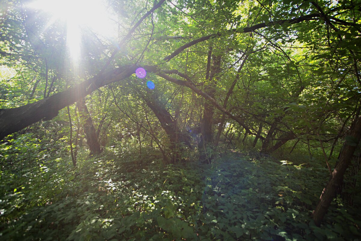 Свет... - Андрей Катков