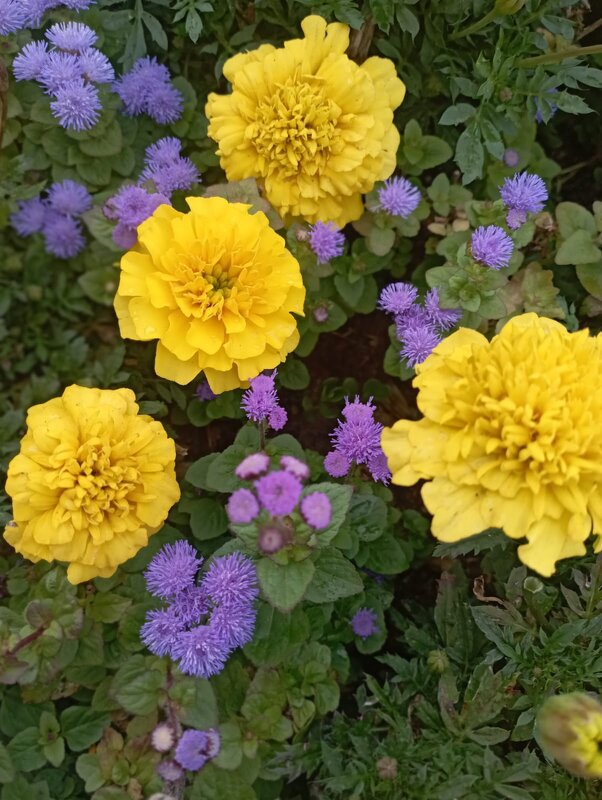 На улицах города - Елена Семигина