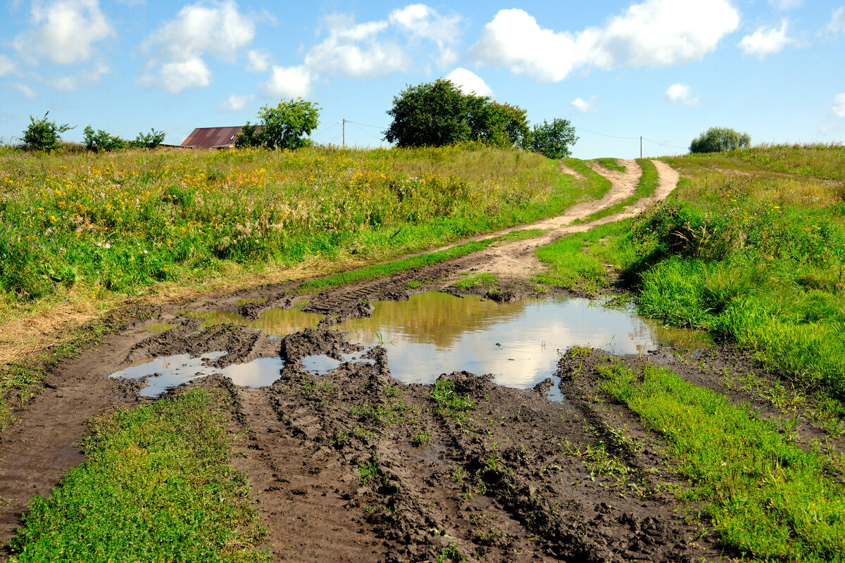 Сельская дорога - Dar(k) Life Сельская дорога - Dar(k) Life
