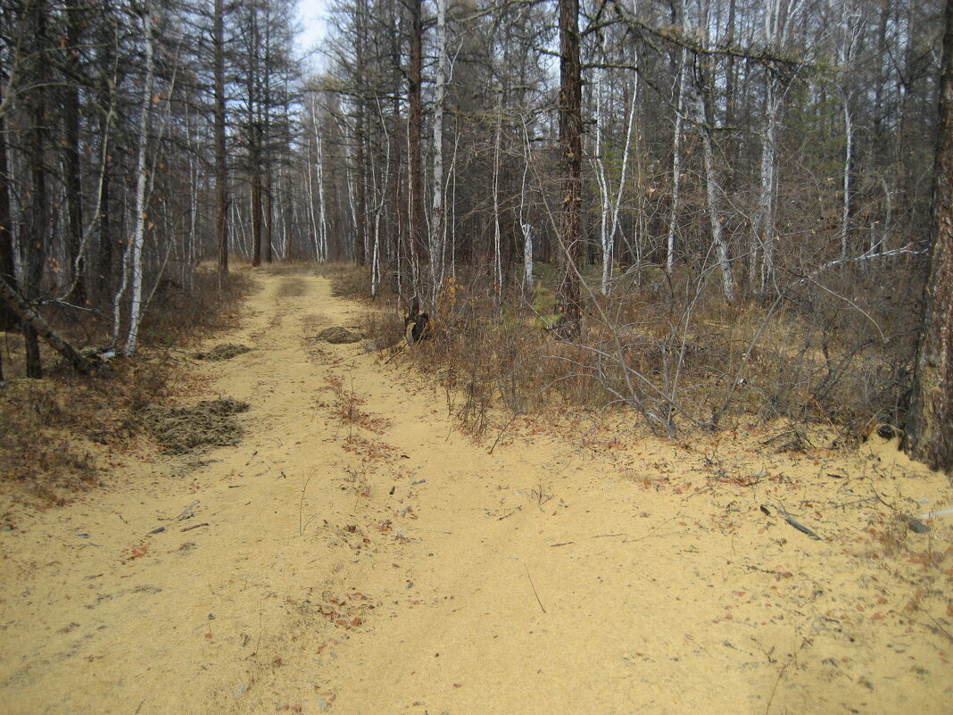 Осенняя дорога - Anna Ivanova