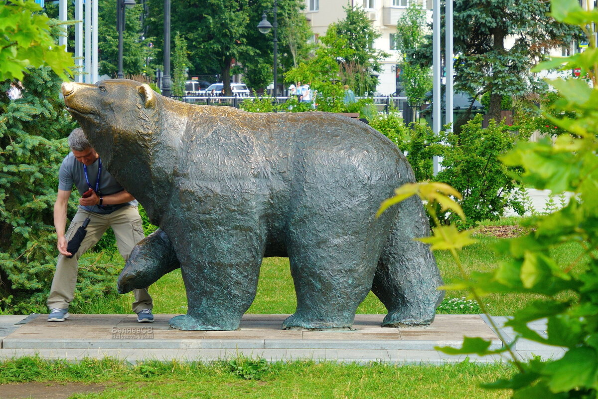 Дай лапу! - Сергей Беляев
