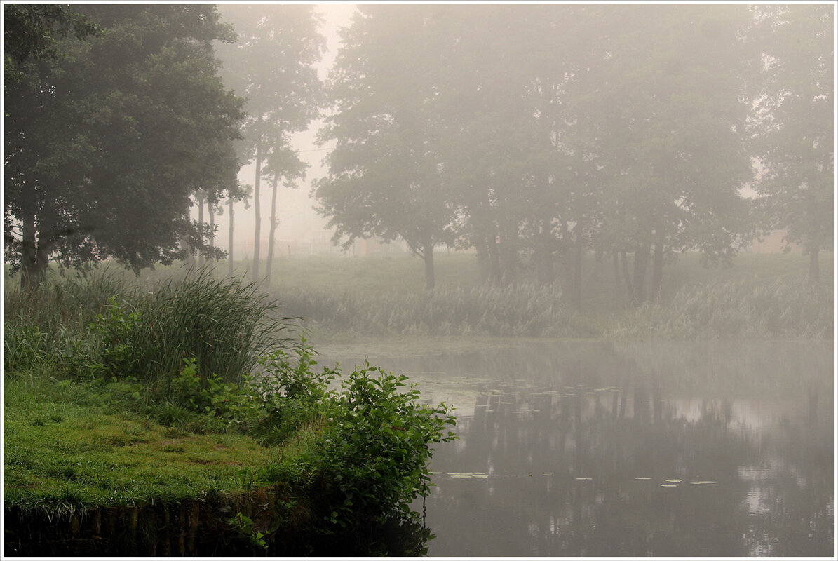 на озере туман... - Aleksandr Gal