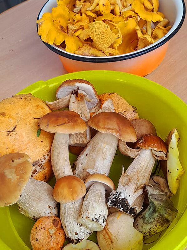 Душа радуется! :) - Алевтина 