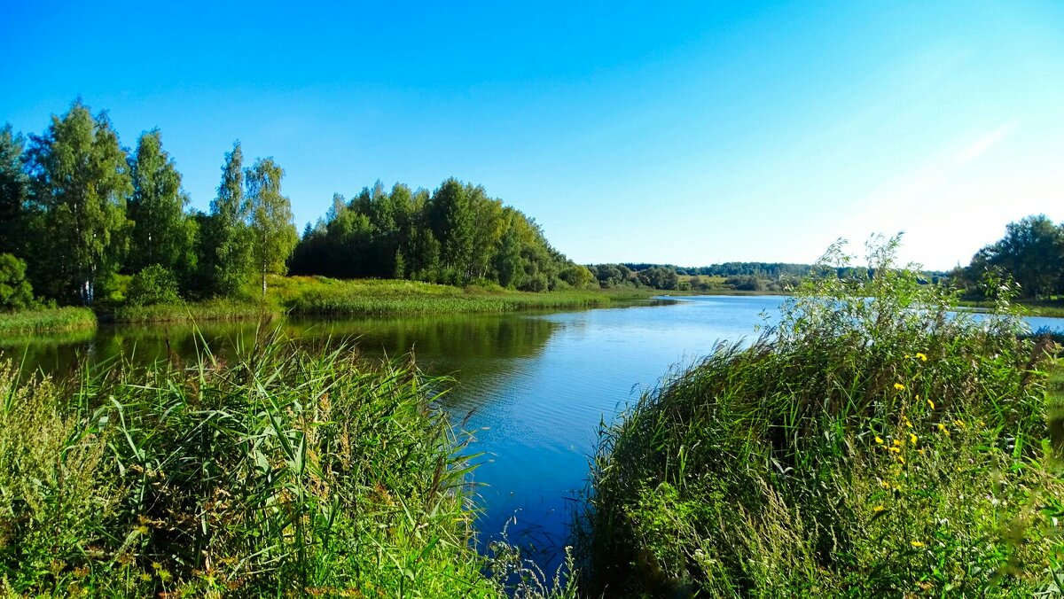 Озёра Смоленщины (репортаж из поездок по области). - Милешкин Владимир Алексеевич Озёра Смоленщины (репортаж из поездок по области). - Милешкин Владимир Алексеевич