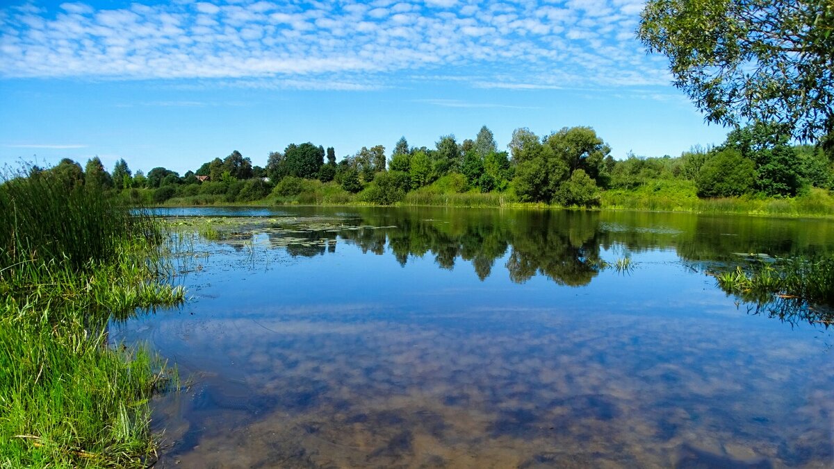 Про озёра Смоленщины. - Милешкин Владимир Алексеевич Про озёра Смоленщины. - Милешкин Владимир Алексеевич