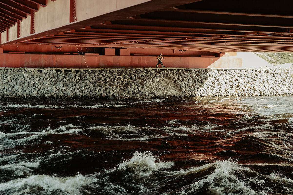 - - Андрей Мясоедов