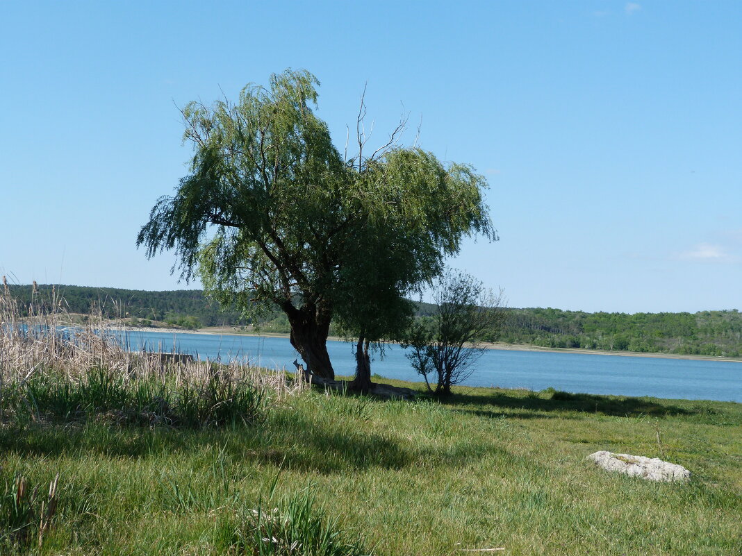 Природа  Крыма - Валентин Семчишин