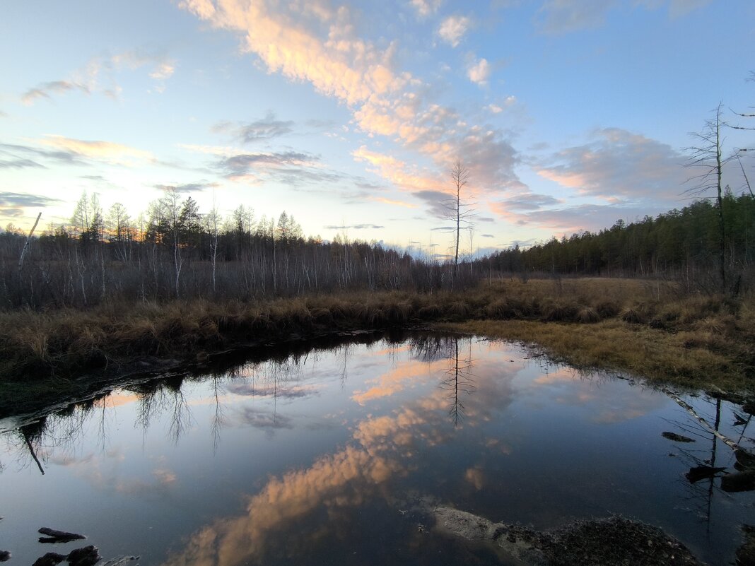 Озеро в лесу - Anna Ivanova Озеро в лесу - Anna Ivanova