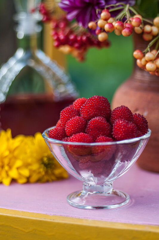 Тибетская малина. - Анатолий Нецепляев Тибетская малина. - Анатолий Нецепляев