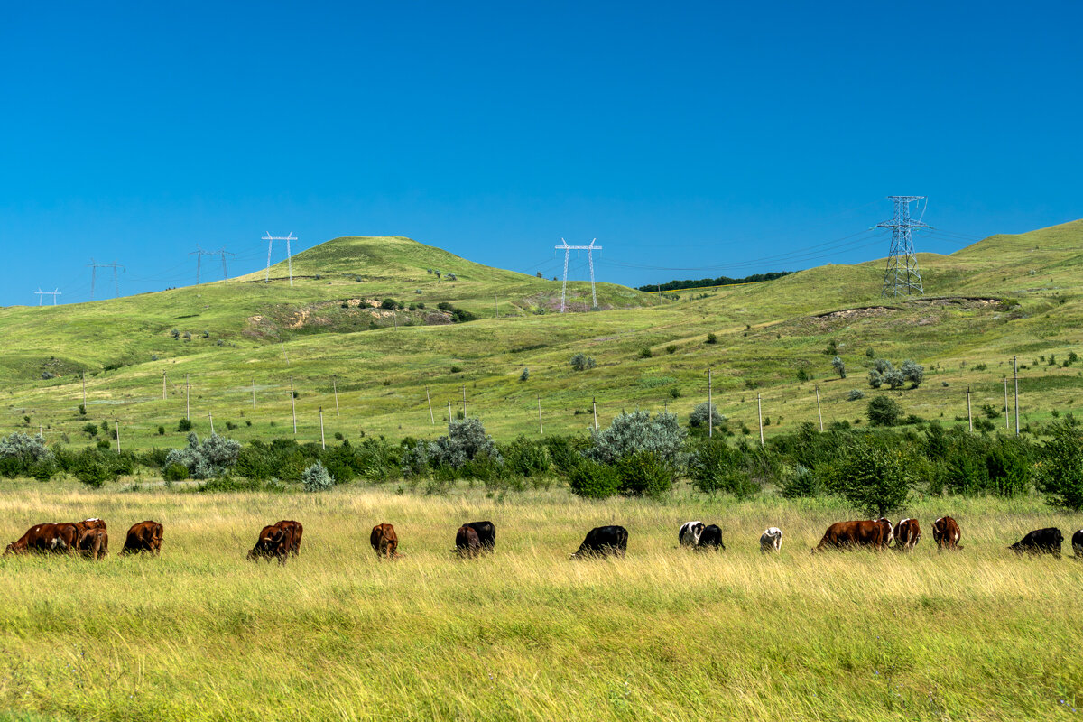 Окрестности - Игорь Сикорский Окрестности - Игорь Сикорский
