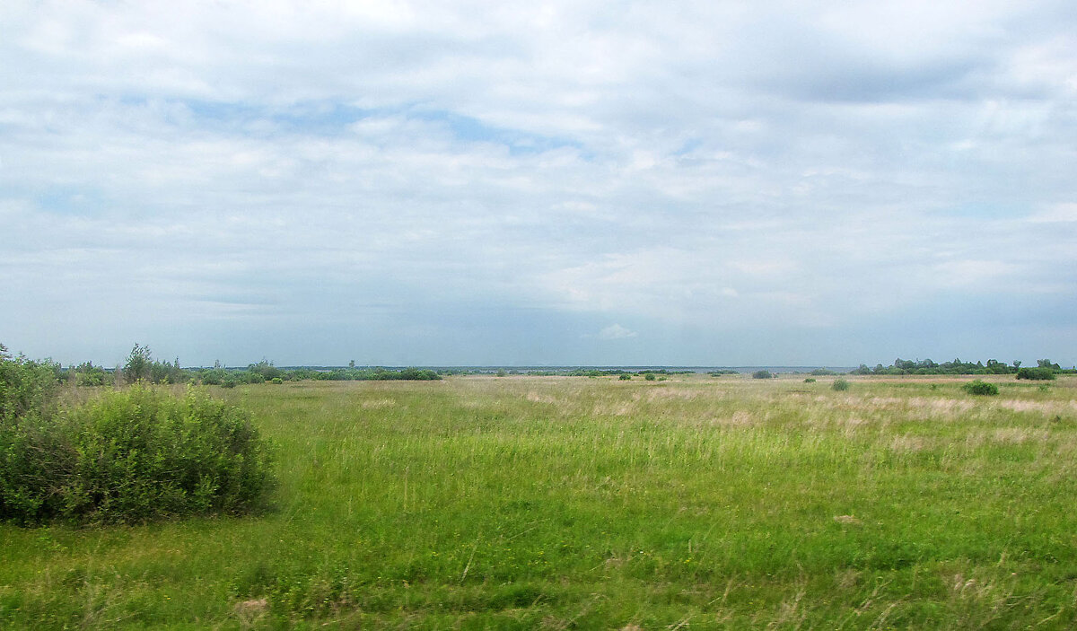 Берег озера Ильмень в районе деревни Малая Витонь - Александр Ильчевский 