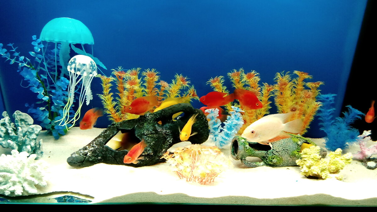 Подводный мир в миниатюре - Татьяна 