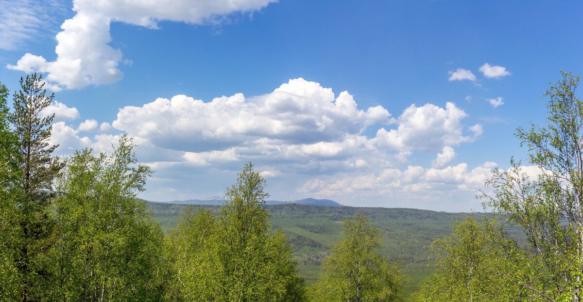 На горе Крутой Ключ. Вид на хребет Большой Уральский и вершины Таганая. - Алексей Трухин