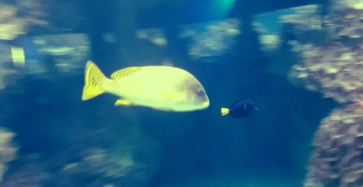 112 (200) - СТРЕН 