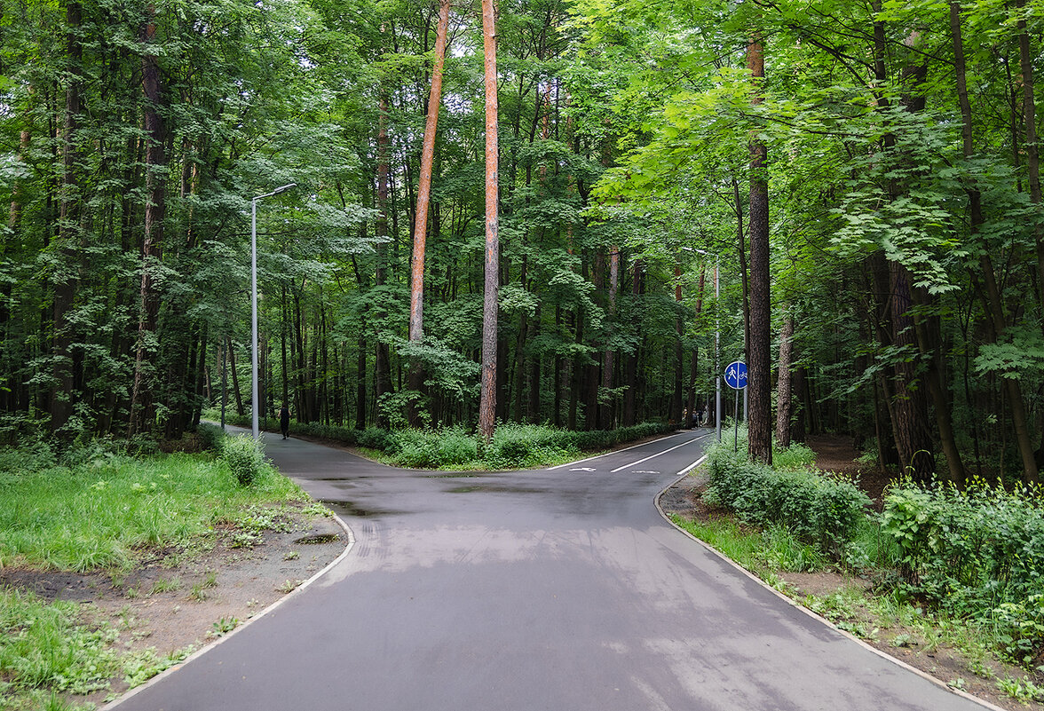 Время выбирать. - Серый 