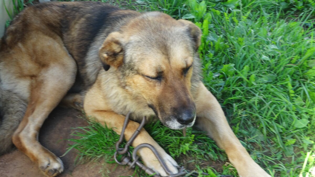 Старость... - kudrni Кудрявцева