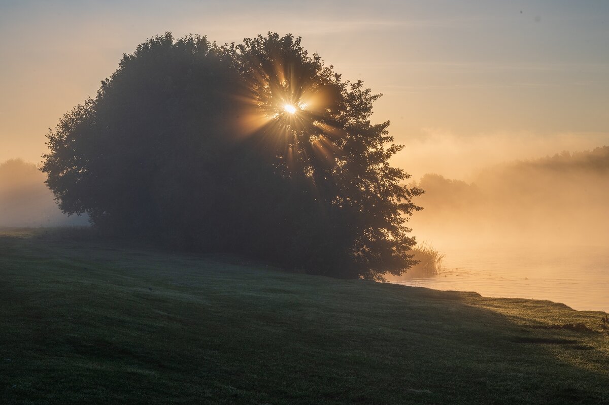 Первые лучики солнца. - Виктор Евстратов Первые лучики солнца. - Виктор Евстратов
