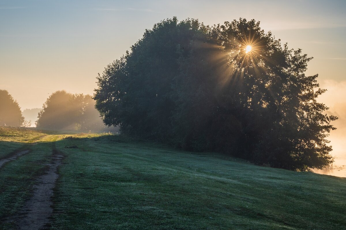 Августовский рассвет на берегу реки Волги. - Виктор Евстратов