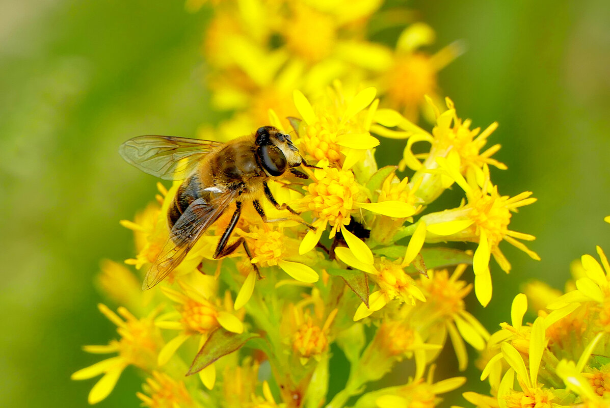 середина августа 3 - Александр Прокудин