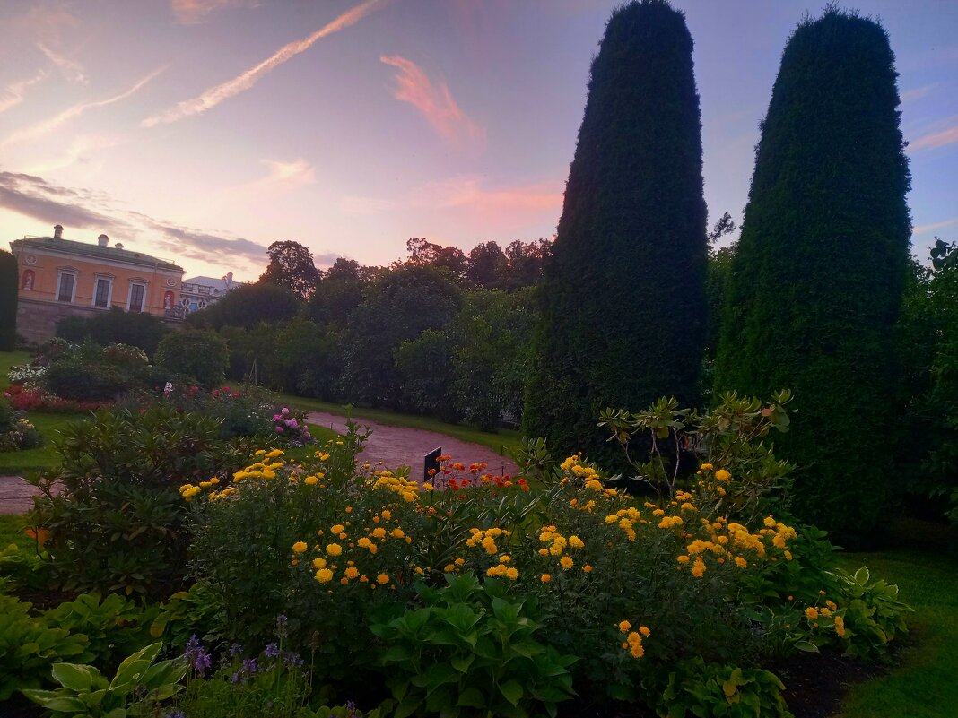 Закат - Сапсан 