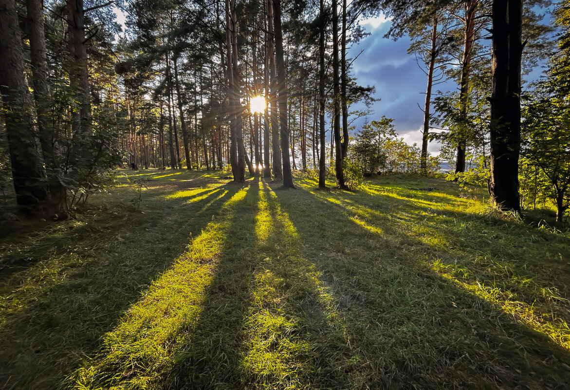 Берег БАЛТИКИ - Дмитрий Иванов