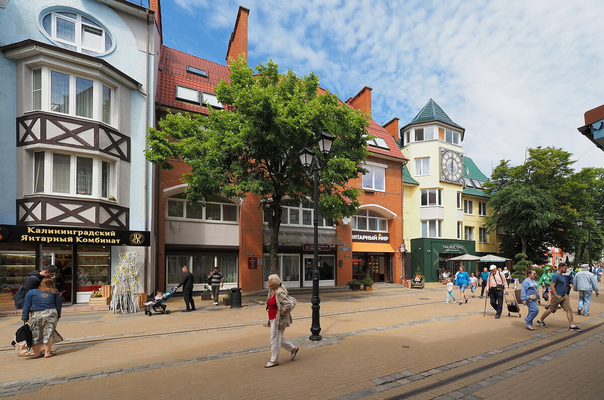 Из поездки в Зеленоградск (Калинградская область) - Евгений Седов