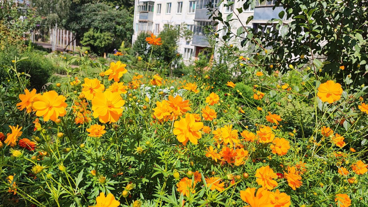 ,,, - Сергей Тимоновский