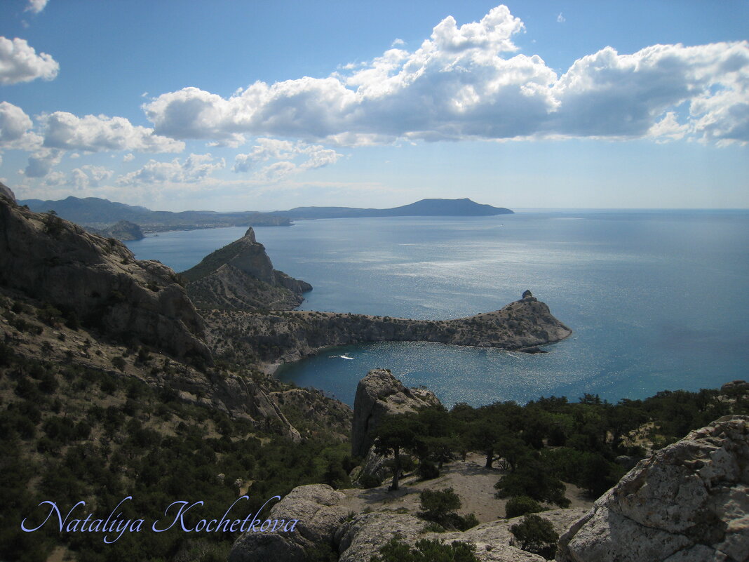 Природа Крыма - Amazing Cosmea