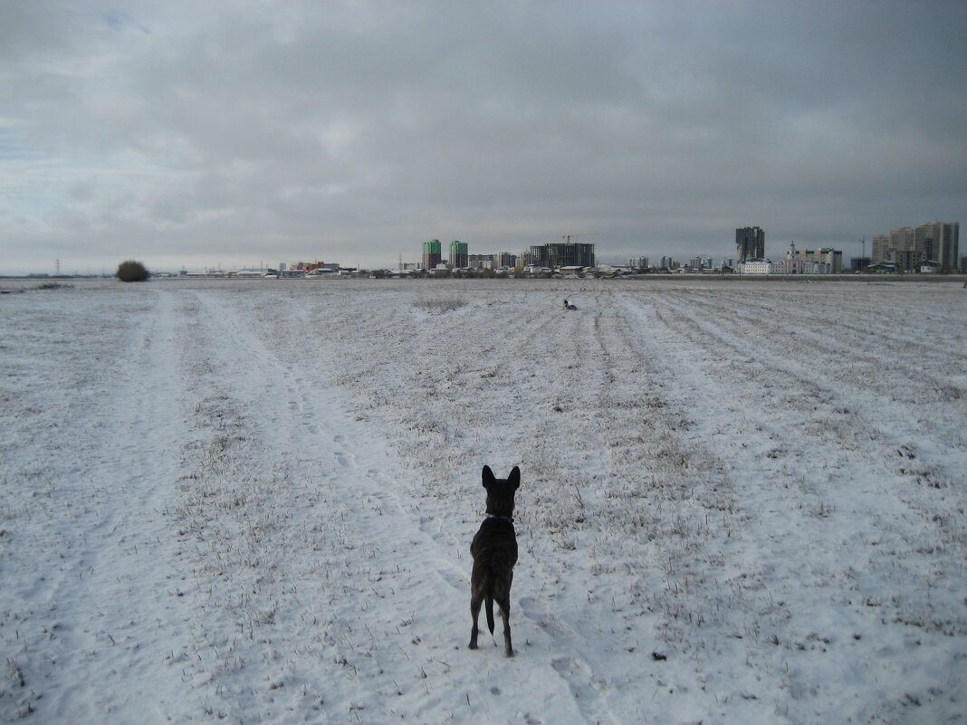 Вот и снег - Anna Ivanova