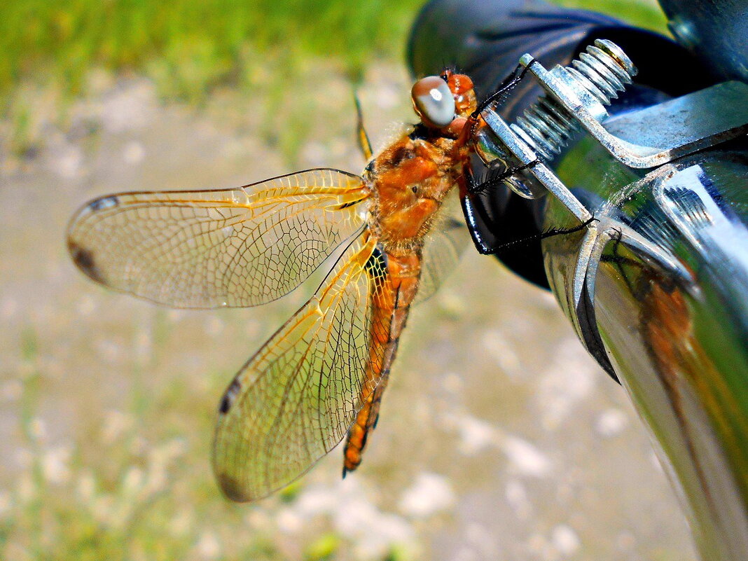 Прокачусь с ветерком... - Константин Штарк