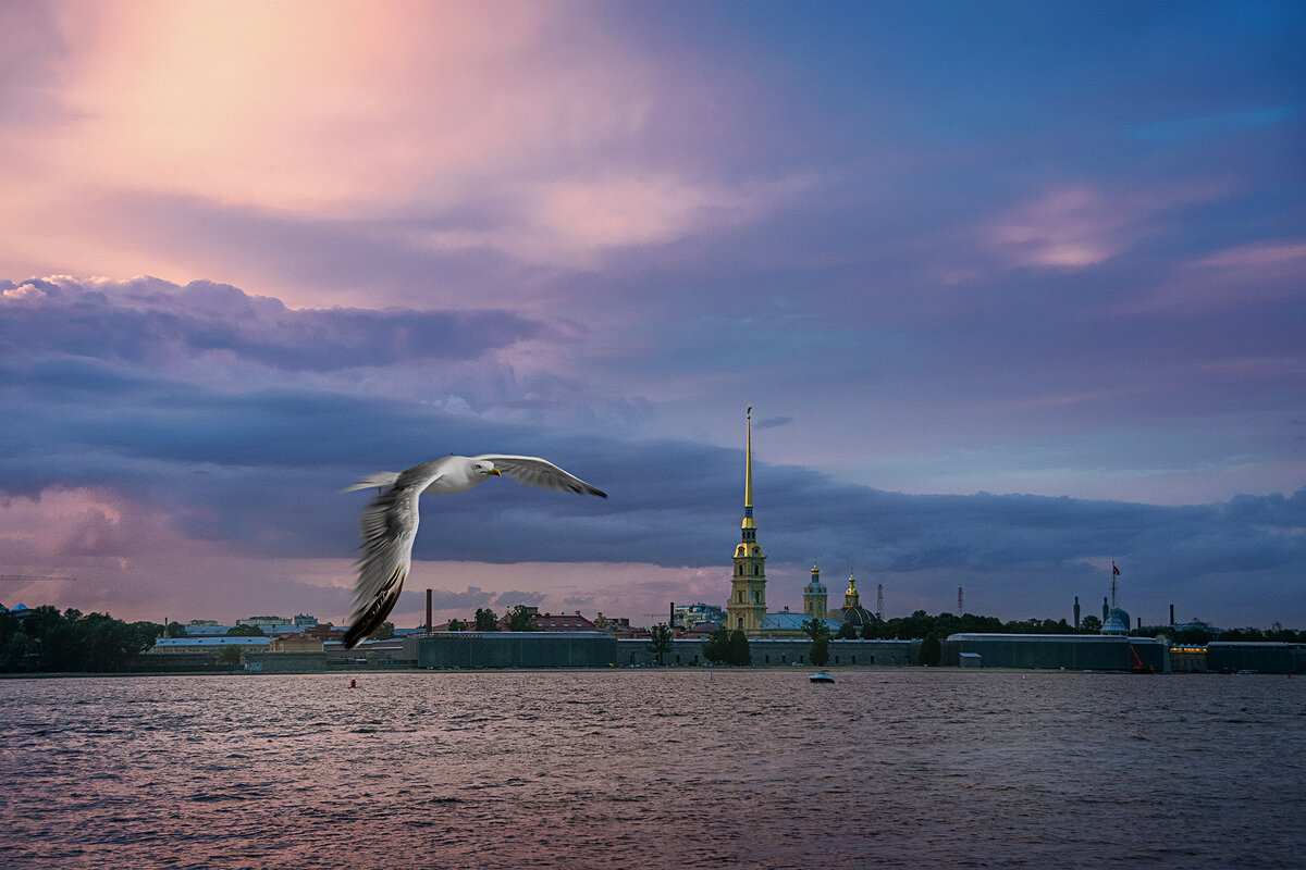 Вечерний Питер - Svetlana Galvez