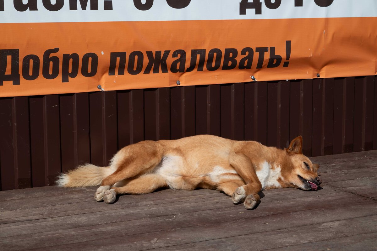 *** - Валерий Михмель *** - Валерий Михмель
