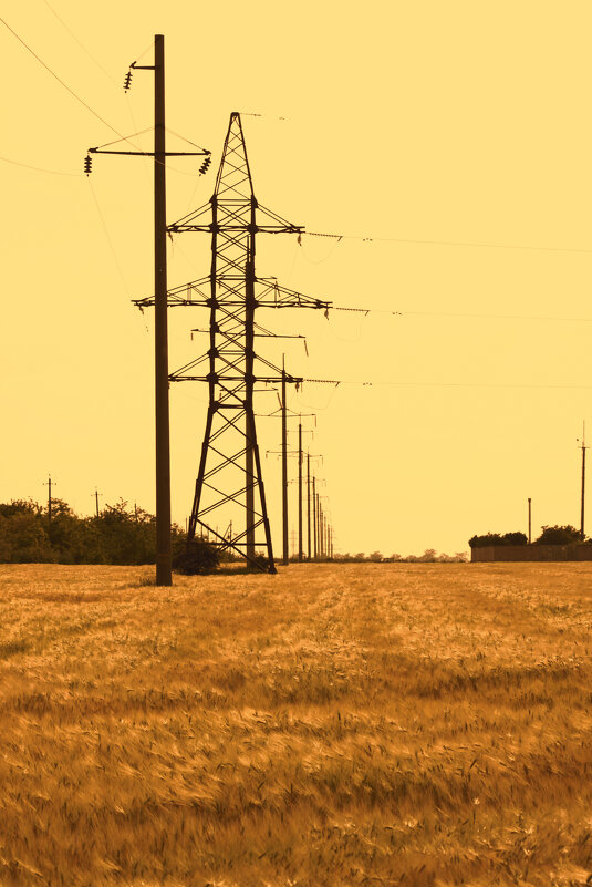 *** - Яна Горбунова