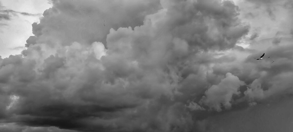 *** - Шу Юншен