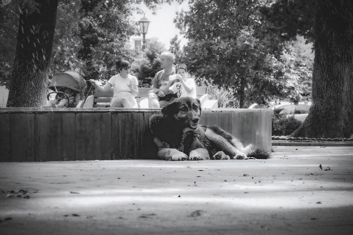 Как же жарко! (чб) - Сергей Царёв