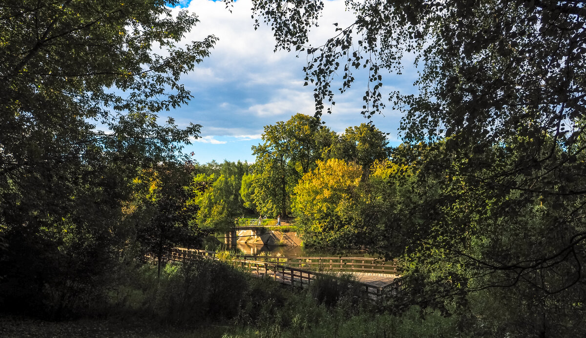 ***** - юрий поляков