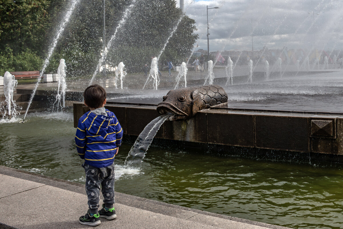 Магнетизм движущейся воды - Борис Генкин