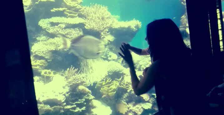 112 (202) - СТРЕН 