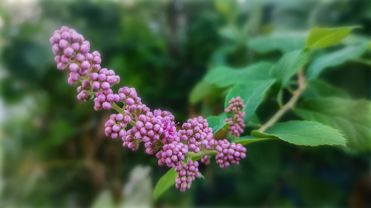 ** - AZ east3 ** - AZ east3