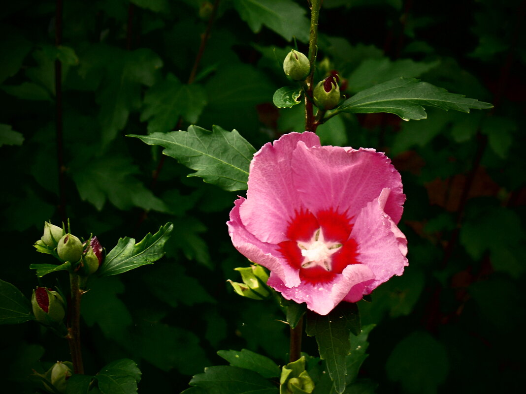 Летние этюды 80 - Алексей Кузнецов