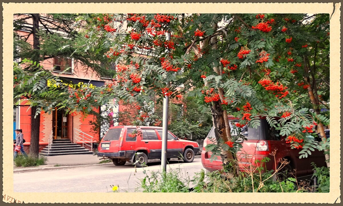 Архивное №2 - emaslenova 