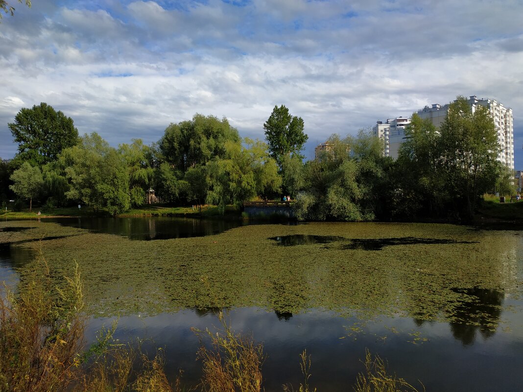 Моя Москва - Андрей Лукьянов Моя Москва - Андрей Лукьянов