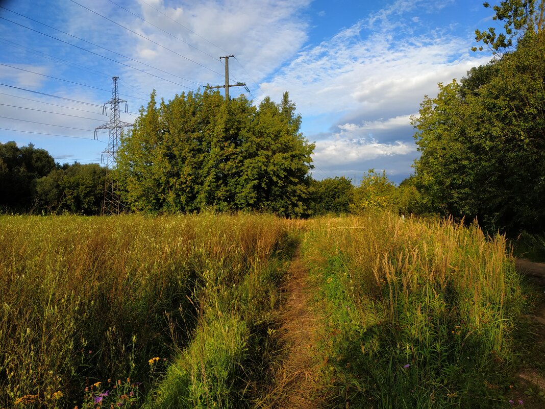 Вот, моя деревня :-) - Андрей Лукьянов
