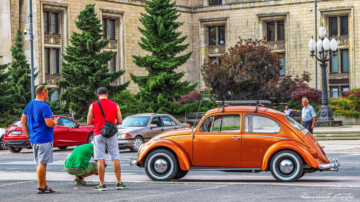 Раритет - Светлана Ищенко Раритет - Светлана Ищенко