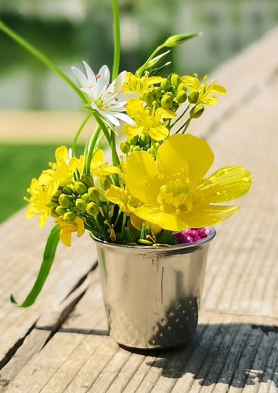 Лето в наперстке - Любимова Ольга 