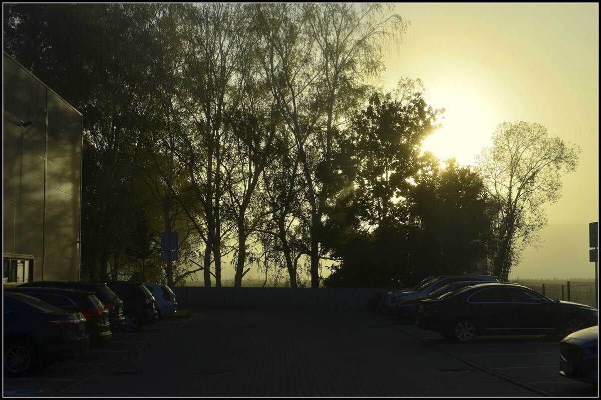 Светает - Aleksandr Gal Светает - Aleksandr Gal